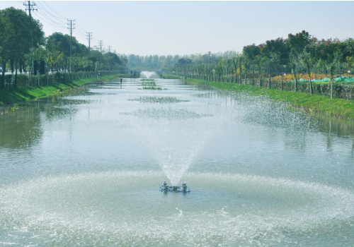 河湖、尾水湿地治理