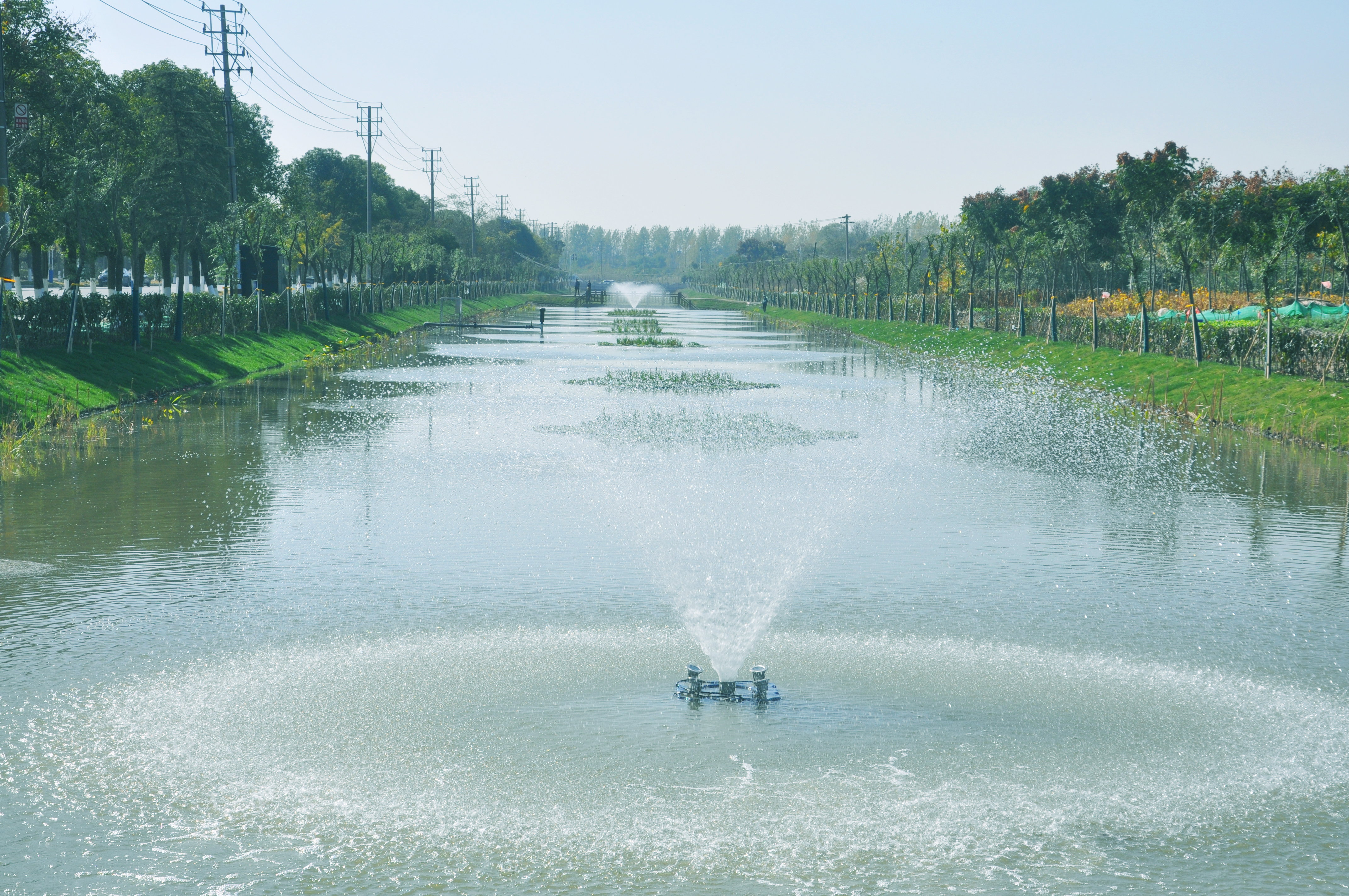 零碳生物河湖净化系统