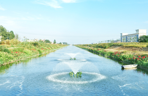 安徽省灵璧县岳洪河水环境综合治理示范项目