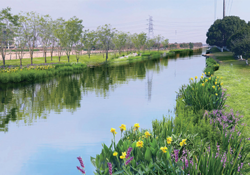 河湖、尾水湿地治理