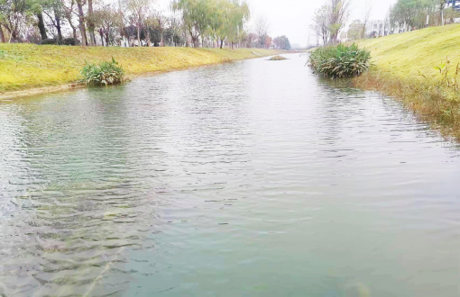 淮北萧濉新河水系冬日生态画卷